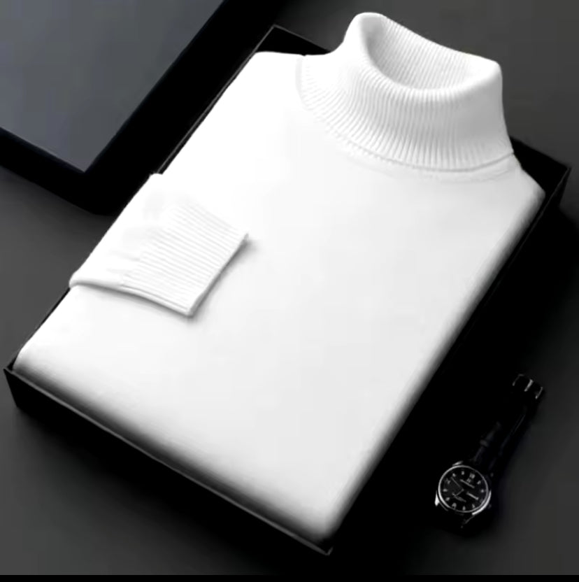 MENS TURTLE NECK